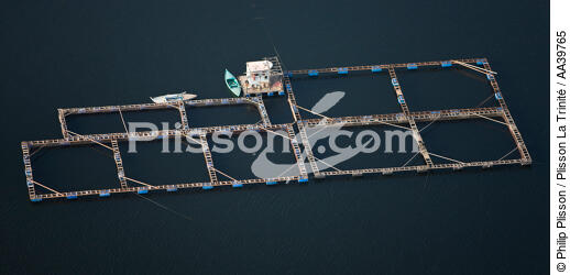 Pêcherie sur le Delta du Nil - Egypte - © Philip Plisson / Plisson La Trinité / AA39765 - Nos reportages photos - Vue aérienne