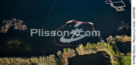 Pêcherie sur le Delta du Nil - Egypte - © Philip Plisson / Plisson La Trinité / AA39768 - Nos reportages photos - Activité maritime