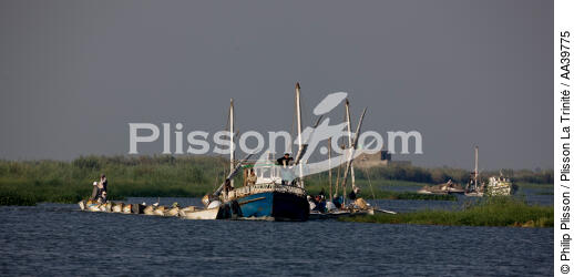 Sur le lac Manzala - Egypte - © Philip Plisson / Plisson La Trinité / AA39775 - Nos reportages photos - Philip Plisson