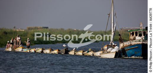 On the Manzala lake - Egypt - © Philip Plisson / Plisson La Trinité / AA39778 - Photo Galleries - Color