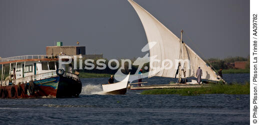 On the Manzala lake - Egypt - © Philip Plisson / Plisson La Trinité / AA39782 - Photo Galleries - Foreign country