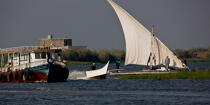 Sur le lac Manzala - Egypte © Philip Plisson / Plisson La Trinité / AA39782 - Nos reportages photos - Type vue