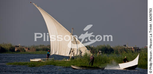 Sur le lac Manzala - Egypte - © Philip Plisson / Plisson La Trinité / AA39783 - Nos reportages photos - Pays étranger