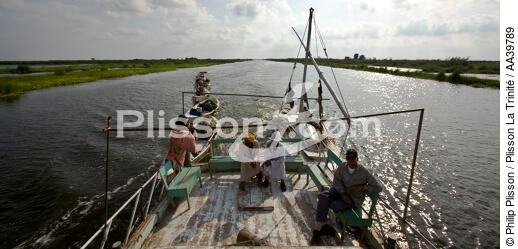 Sur le lac Manzala - Egypte - © Philip Plisson / Plisson La Trinité / AA39789 - Nos reportages photos - Vue non aérienne