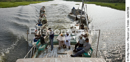 Sur le lac Manzala - Egypte - © Philip Plisson / Plisson La Trinité / AA39788 - Nos reportages photos - 16/9 horizontal