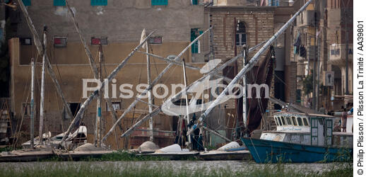 Sur le lac Manzala - Egypte - © Philip Plisson / Plisson La Trinité / AA39801 - Nos reportages photos - Philip Plisson