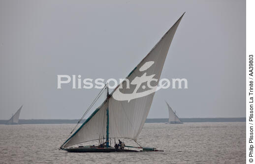 Sur le lac Manzala - Egypte - © Philip Plisson / Plisson La Trinité / AA39803 - Nos reportages photos - Vue non aérienne