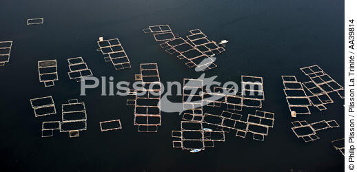 Le Delta du Nil - Egypte - © Philip Plisson / Plisson La Trinité / AA39814 - Nos reportages photos - Site [Egypte]