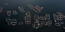 Le Delta du Nil - Egypte © Philip Plisson / Plisson La Trinité / AA39814 - Nos reportages photos - Vue aérienne