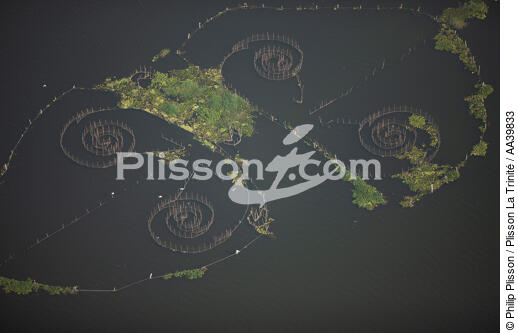 Sur le lac Manzala - Egypte - © Philip Plisson / Plisson La Trinité / AA39833 - Nos reportages photos - Philip Plisson