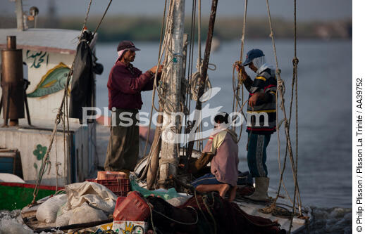 Sur le lac Manzala - Egypte - © Philip Plisson / Plisson La Trinité / AA39752 - Nos reportages photos - Vue non aérienne