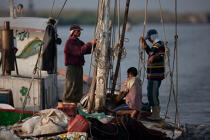Sur le lac Manzala - Egypte © Philip Plisson / Plisson La Trinité / AA39752 - Nos reportages photos - Philip Plisson