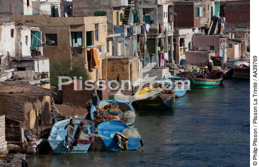Alexandria - Egypt - © Philip Plisson / Plisson La Trinité / AA39769 - Photo Galleries - Egypt