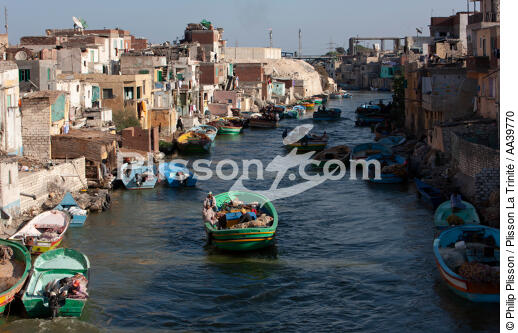 Alexandria - Egypt - © Philip Plisson / Plisson La Trinité / AA39770 - Photo Galleries - Philip Plisson