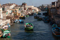Alexandrie - Egypte © Philip Plisson / Plisson La Trinité / AA39770 - Nos reportages photos - Vue non aérienne
