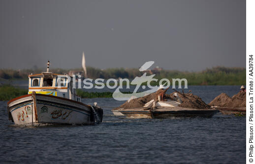 Sur le lac Manzala - Egypte - © Philip Plisson / Plisson La Trinité / AA39784 - Nos reportages photos - Chromie