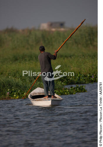 Sur le lac Manzala - Egypte - © Philip Plisson / Plisson La Trinité / AA39781 - Nos reportages photos - Mots clés