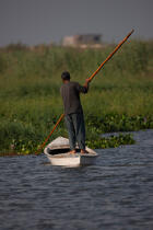 Sur le lac Manzala - Egypte © Philip Plisson / Plisson La Trinité / AA39781 - Nos reportages photos - Vertical