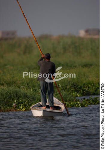 Sur le lac Manzala - Egypte - © Philip Plisson / Plisson La Trinité / AA39780 - Nos reportages photos - Type vue