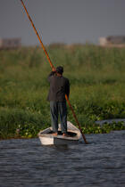 On the Manzala lake - Egypt © Philip Plisson / Plisson La Trinité / AA39780 - Photo Galleries - Philip Plisson