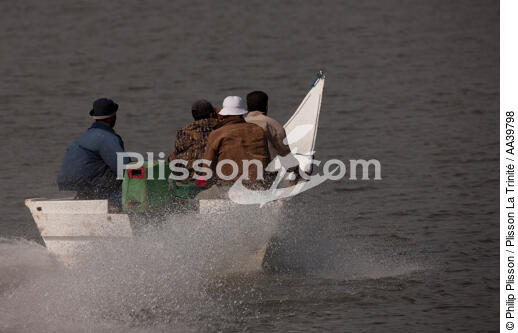 Sur le lac Manzala - Egypte - © Philip Plisson / Plisson La Trinité / AA39798 - Nos reportages photos - Vue non aérienne