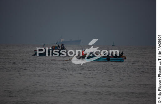 Pêche devant Alexandrie - Egypte - © Philip Plisson / Plisson La Trinité / AA39804 - Nos reportages photos - Pêche