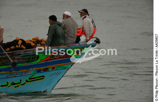 Pêche devant Alexandrie - Egypte - © Philip Plisson / Plisson La Trinité / AA39807 - Nos reportages photos - Bateau de pêche