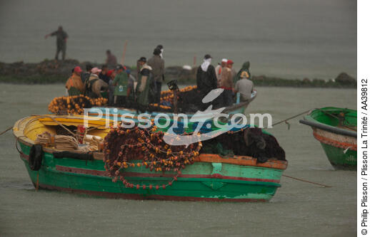 Pêche devant Alexandrie - Egypte - © Philip Plisson / Plisson La Trinité / AA39812 - Nos reportages photos - Bateau de pêche