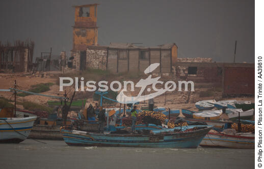 Pêche devant Alexandrie - Egypte - © Philip Plisson / Plisson La Trinité / AA39810 - Nos reportages photos - Alexandrie