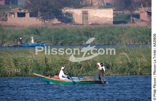 On the Manzala lake - Egypt - © Philip Plisson / Plisson La Trinité / AA39836 - Photo Galleries - Foreign country