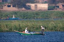 Sur le lac Manzala - Egypte © Philip Plisson / Plisson La Trinité / AA39836 - Nos reportages photos - Couleur