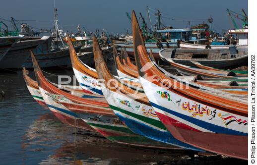 Eels of fishing boats on the Nile Delta - Egypt - © Philip Plisson / Plisson La Trinité / AA39762 - Photo Galleries - Nile [The]