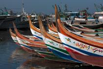 Etraves de bateaux de pêche sur le Delta du Nil - Egypte © Philip Plisson / Plisson La Trinité / AA39762 - Nos reportages photos - Couleur