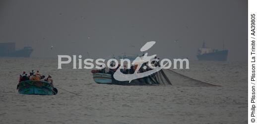 Pêche devant Alexandrie - Egypte - © Philip Plisson / Plisson La Trinité / AA39805 - Nos reportages photos - Cadrage