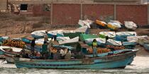 Pêche devant Alexandrie - Egypte © Philip Plisson / Plisson La Trinité / AA39806 - Nos reportages photos - Couleur