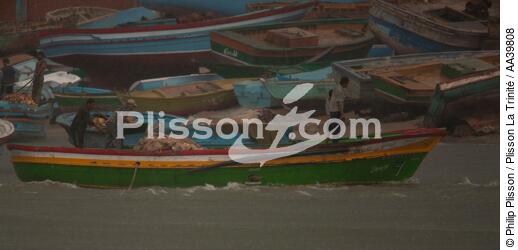 Pêche devant Alexandrie - Egypte - © Philip Plisson / Plisson La Trinité / AA39808 - Nos reportages photos - Mots clés