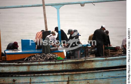 Pêche devant Alexandrie - Egypte - © Philip Plisson / Plisson La Trinité / AA39811 - Nos reportages photos - Type vue