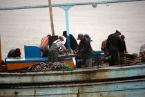 Pêche devant Alexandrie - Egypte © Philip Plisson / Plisson La Trinité / AA39811 - Nos reportages photos - Auteur