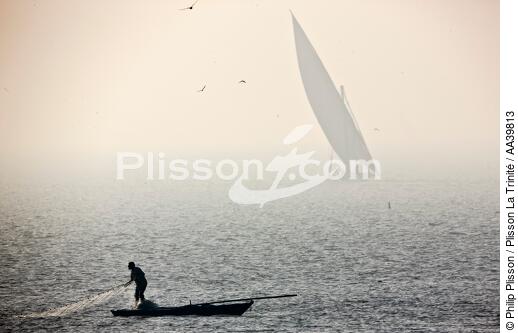 Petite pêche sur le Delta du Nil - Egypte - © Philip Plisson / Plisson La Trinité / AA39813 - Nos reportages photos - Cadrage