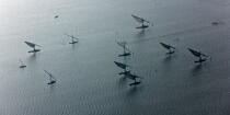 Sur le lac Burullus - Egypte © Philip Plisson / Plisson La Trinité / AA39815 - Nos reportages photos - Vue aérienne
