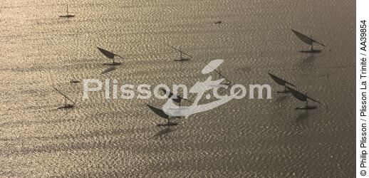 On the Burullus lake - Egypt - © Philip Plisson / Plisson La Trinité / AA39854 - Photo Galleries - Site of interest [Egypt]