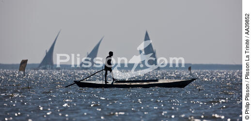 On the Burullus lake - Egypt - © Philip Plisson / Plisson La Trinité / AA39852 - Photo Galleries - Framing