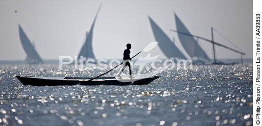 Sur le lac Burullus - Egypte - © Philip Plisson / Plisson La Trinité / AA39853 - Nos reportages photos - 16/9 horizontal