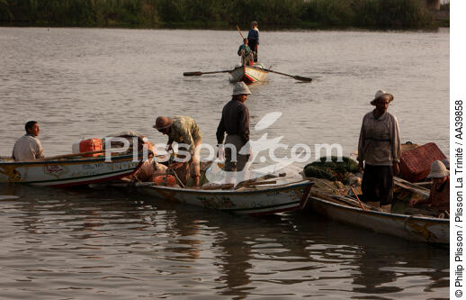 Sur le lac Manzala - Egypte - © Philip Plisson / Plisson La Trinité / AA39858 - Nos reportages photos - Cadrage