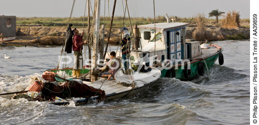 On the Manzala lake - Egypt - © Philip Plisson / Plisson La Trinité / AA39859 - Photo Galleries - Color