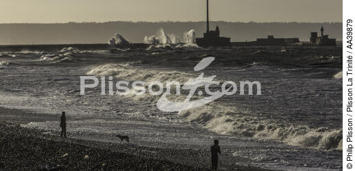 Le Havre en Normandie - © Philip Plisson / Plisson La Trinité / AA39879 - Nos reportages photos - Environnement