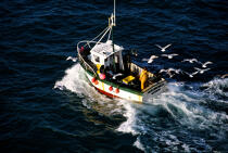 Louarn Ar Mor de Brest (Finistère, 29) © Philip Plisson / Plisson La Trinité / AA00063 - Photo Galleries - Fishing vessel