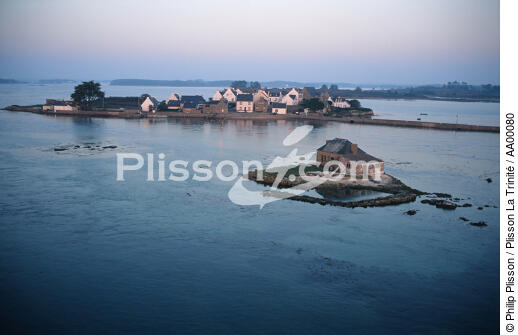 Chantier ostréicole à Saint-Cado. - © Philip Plisson / Plisson La Trinité / AA00080 - Photo Galleries - Coastal landscape