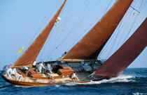 Agneta © Guillaume Plisson / Plisson La Trinité / AA00153 - Photo Galleries - Traditional sailing