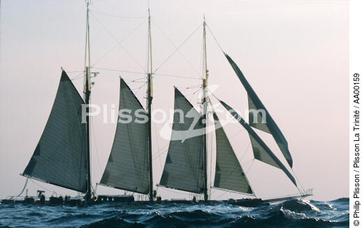 Le Shenandoah en contre jour . - © Philip Plisson / Plisson La Trinité / AA00159 - Photo Galleries - Tall ships